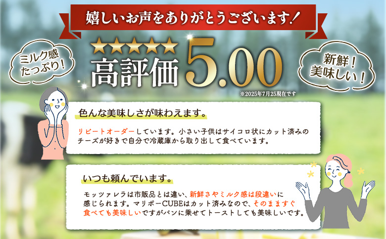 【★高評価レビュー獲得！】竹下牧場まるごとチーズセット | モッツァレラ マリボーCUBE マリボー 乳製品 チーズ チーズセット モッツアレラ マリボー 発酵食品 ふるさと納税 北海道 中標津町 中標津【2400101】
