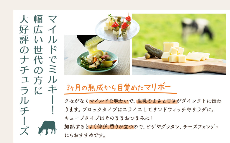 【★高評価レビュー獲得！】竹下牧場まるごとチーズセット | モッツァレラ マリボーCUBE マリボー 乳製品 チーズ チーズセット モッツアレラ マリボー 発酵食品 ふるさと納税 北海道 中標津町 中標津【2400101】