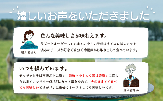 【★高評価レビュー獲得！】竹下牧場まるごとチーズセット モッツァレラ マリボーCUBE マリボー 乳製品 チーズ チーズセット モッツアレラ マリボー 発酵食品 ふるさと納税 北海道 中標津町 中標津【24001】