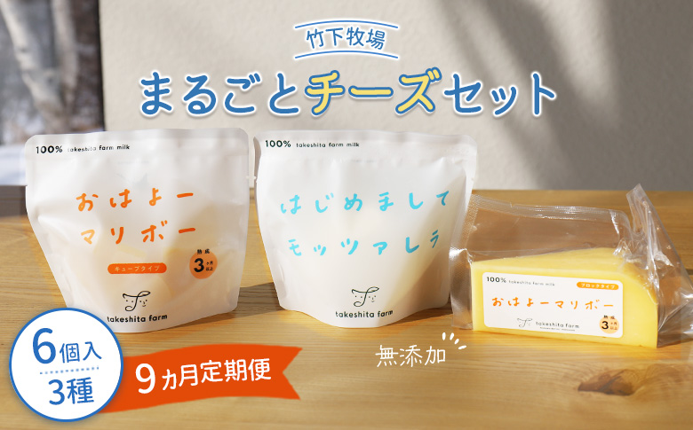 【定期便：全9回】 竹下牧場まるごとチーズセット モッツァレラ 100g×2個 マリボーCUBE 80g×2個 マリボー100g×2個 乳製品 チーズ チーズセット モッツアレラ マリボー 発酵食品 定期便 9ヶ月 北海道 中標津町 中標津 ふるさと納税【24024】