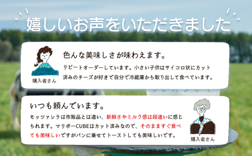 【定期便：全12回】 竹下牧場まるごとチーズセット モッツァレラ 100g×2個 マリボーCUBE 80g×2個 マリボー100g×2個 乳製品 チーズ チーズセット モッツアレラ マリボー 発酵食品 定期便 12ヶ月 北海道 中標津町 中標津 ふるさと納税【24025】