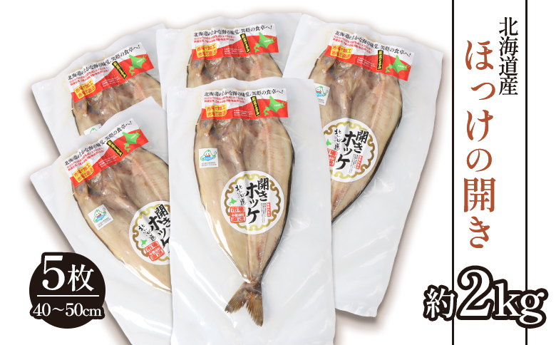 「豊富な旨み」北海道産 ふっくらとしたホッケの開き5枚 40cm～50cm 約2kg | ホッケ 干物 ひもの セット 加工品 海鮮 魚介類 魚 お取り寄せ ギフト 旨み 旨味 うまみ ふるさと納税 北海道 中標津町 中標津【2500301】