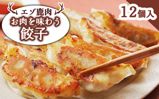 エゾ鹿肉 お肉を味わう餃子 12個入【30013】