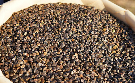 【定期便：全9回】上原農場の有機十割そば8人前 200g×4袋 最果てそば オーガニックそば オーガニック 有機原料 蕎麦 そば 乾麺 十割蕎麦 定期便 9ヶ月 ルチン ポリフェノール 上原農場 無農薬 純国産 ふるさと納税 北海道 中標津町 中標津【30019】