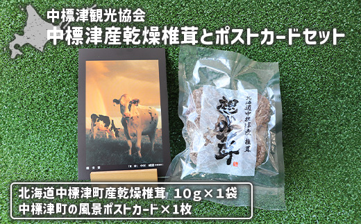 中標津産乾燥椎茸 １０ｇ×1袋　なかしべつ観光協会バージョン【32007】