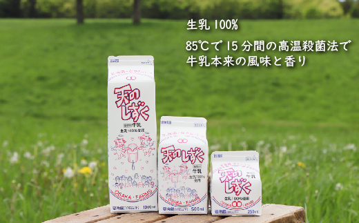 天のしずく　詰め合わせセットＢ(1000ml×6本・500ml×6本・250ml×6本,合計10.5L)　【51002】