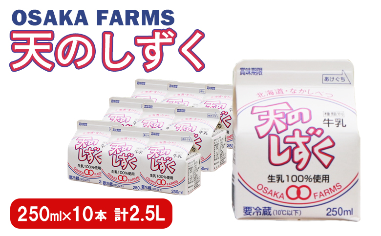 天のしずく 250ml × 10本 計 2.5L【5100501】