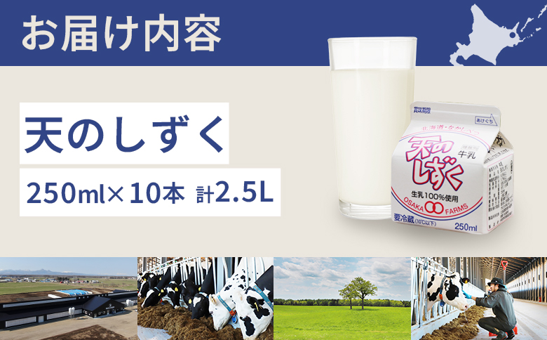 天のしずく 250ml × 10本 計 2.5L【51005】