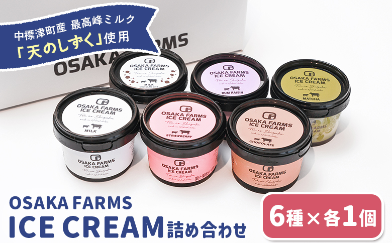 OSAKA FARMS ICE CREAM 詰め合わせ6個入りセット（ミルク・チョコ・イチゴ・抹茶・チョコチップ・ラムレーズン）各1個 | ふるさと納税 北海道 中標津 詰め合わせ アイス 天のしずく 乳製品 贈り物 セット スイーツ おやつ 食後 デザート お取り寄せ ワンストップ マイページ OSAKA FARMS 中標津町【51013】