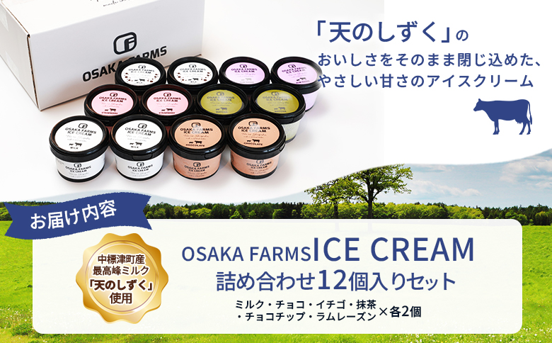 OSAKA FARMS ICE CREAM 詰め合わせ12個入りセット（ミルク・チョコ・イチゴ・抹茶・チョコチップ・ラムレーズン）6種×各2個 | ふるさと納税 北海道 中標津 詰め合わせ アイス ミルク 天のしずく 乳製品 贈り物 セット スイーツ おやつ 食後 デザート お取り寄せ ワンストップ マイページ OSAKA FARMS 中標津町【51014】