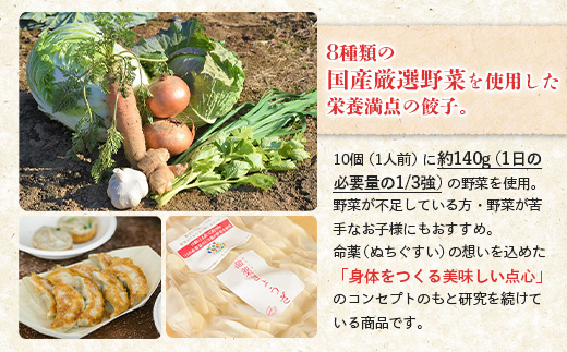 なかしべつミルキーポーク 100％使用 命薬ぎょうざ 60個 餃子 ぎょうざ ギョーザ オンライン 申請 ふるさと納税 北海道 中標津 本格 中華 点心 飲茶 ミルキーポーク 簡単調理 絶品 グルメ 約6人前 中標津町【53014】