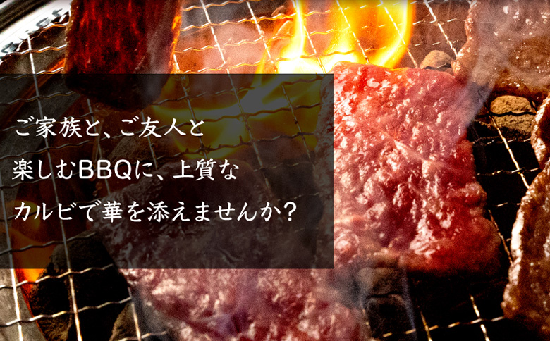 北海道産 黒毛和牛A5カルビ500g 焼肉用 | オンライン申請 ふるさと納税 北海道 中標津 黒毛和牛 A5 カルビ ショートプレート インサイドスカート 希少 特上 濃厚 脂 赤身 焼肉 BBQ 牛 肉 お取り寄せ ワンストップ マイページ 金龍 仁栄 中標津町【57011】