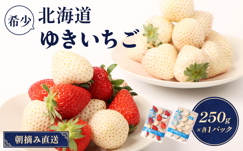 【12月以降、随時発送！】【北海道産】ゆきいちご（ゆきぼたん/すず）白×MIX 2Pセット 各250g×2 計500g 苺 白いちご 一季成りイチゴ 希少 ギフト お取り寄せ ふるさと納税 北海道 中標津町【5900201】