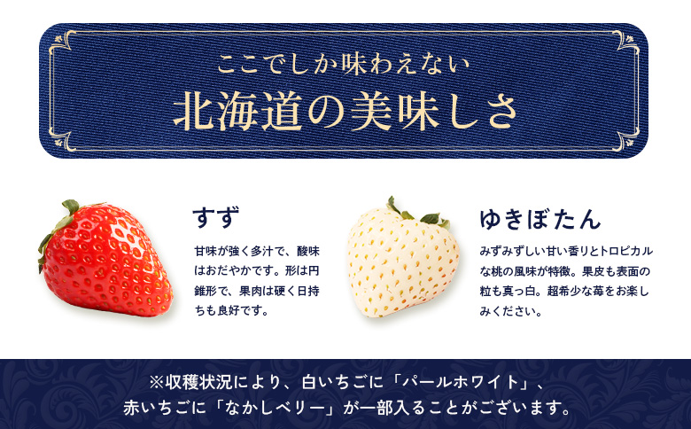 【受注後、随時発送！】【北海道産】ゆきいちご（ゆきぼたん/すず）白×MIX 2Pセット 各250g×2 計500g 苺 白いちご 一季成りイチゴ 希少 ギフト お取り寄せ ふるさと納税 北海道 中標津町【5900201】
