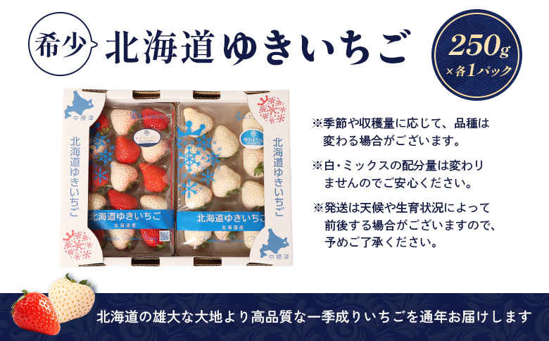 【受注後、随時発送！】【北海道産】ゆきいちご（ゆきぼたん/すず）白×MIX 2Pセット 各250g×2 計500g 苺 白いちご 一季成りイチゴ 希少 ギフト お取り寄せ ふるさと納税 北海道 中標津町【5900201】