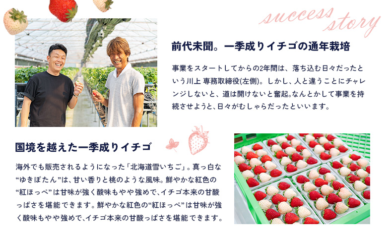 【受注後、随時発送！】【北海道産】ゆきいちご（ゆきぼたん/すず）赤白MIX×2Pセット 250g×2 計500g 苺 白いちご 一季成りイチゴ 希少 ギフト お取り寄せ ふるさと納税 北海道 中標津【5900301】