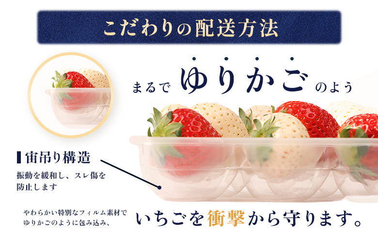 【受注後、随時発送！】【北海道産】ゆきいちご（ゆきぼたん/すず）赤白MIX×2Pセット 250g×2 計500g 苺 白いちご 一季成りイチゴ 希少 ギフト お取り寄せ ふるさと納税 北海道 中標津【5900301】