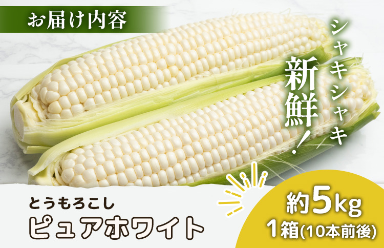 【2026年度発送分】上原農場直送　有機栽培とうもろこし (ピュアホワイト) 約5kg 約10本前後 | ふるさと納税 北海道 中標津 なかしべつ とうもろこし ピュアホワイト とうきび コーン 野菜 夏野菜 夏 産地直送 新鮮 採れたて 朝採れ 無農薬 甘い お取り寄せ ワンストップ マイページ 上原農場 中標津町【6601601】