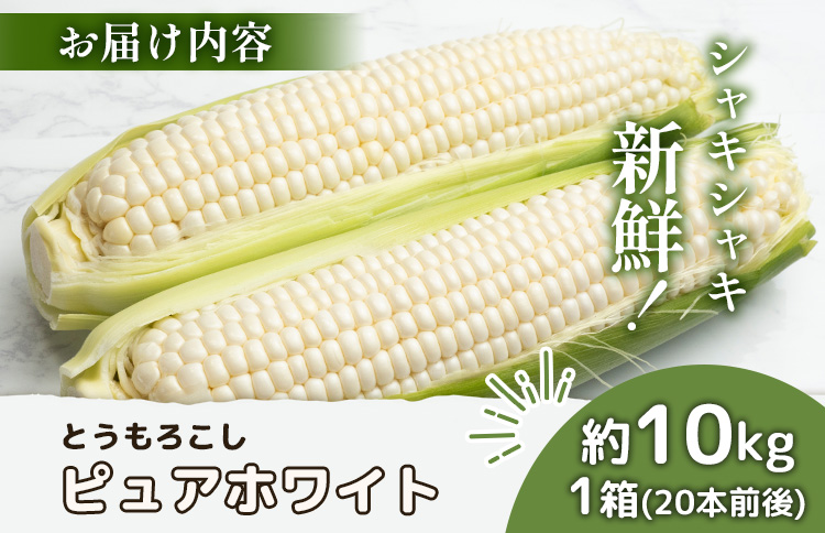 ã2026幎床çºéåãäžåèŸ²å ŽçŽéãææ©æ œå¹ãšããããã (ãã¥ã¢ãã¯ã€ã) çŽ10kg çŽ20æ¬ååŸ | ãµãããšçŽçš åæµ·é äžæšæŽ¥ ãªããã¹ã€ ãšããããã ãã¥ã¢ãã¯ã€ã ãšããã³ ã³ãŒã³ éè å€éè å€ ç£å°çŽé æ°é®® æ¡ãããŠ ææ¡ã çã ãåãå¯ã ã¯ã³ã¹ããã ãã€ããŒãž äžåèŸ²å Ž äžæšæŽ¥çºã66017ã