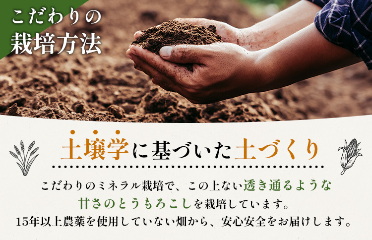 【2026年度発送分】上原農場直送 有機栽培とうもろこし (ピュアホワイト)  約30kg 約65本前後 | ふるさと納税 北海道 中標津 なかしべつ とうもろこし ピュアホワイト とうきび コーン 野菜 夏野菜 夏 産地直送 新鮮 採れたて 朝採れ 甘い オーガニックお取り寄せ ワンストップ マイページ 上原農場 中標津町【66018】【6601801】