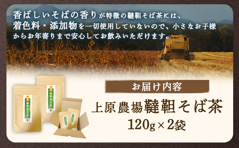 縲千┌霎イ阮ャ譬ス蝓ケ縲台ク雁次霎イ蝣エ縲髻髱シ縺昴ー闌カ120gテ2陲具ス 縺オ繧九&縺ィ邏咲ィ 蛹玲オキ驕 荳ュ讓呎エ・ 縺ェ縺九@縺ケ縺、 縺昴ー闌カ 縺願幻 縺昴ー 繝弱Φ繧ォ繝輔ぉ繧、繝ウ 蛛・蠎キ 繧ェ繝シ繧ャ繝九ャ繧ッ 縺雁叙繧雁ッ縺 繝ッ繝ウ繧ケ繝医ャ繝 繝槭う繝壹シ繧ク 荳雁次霎イ蝣エ 荳ュ讓呎エ・逕コ縲6601501縲