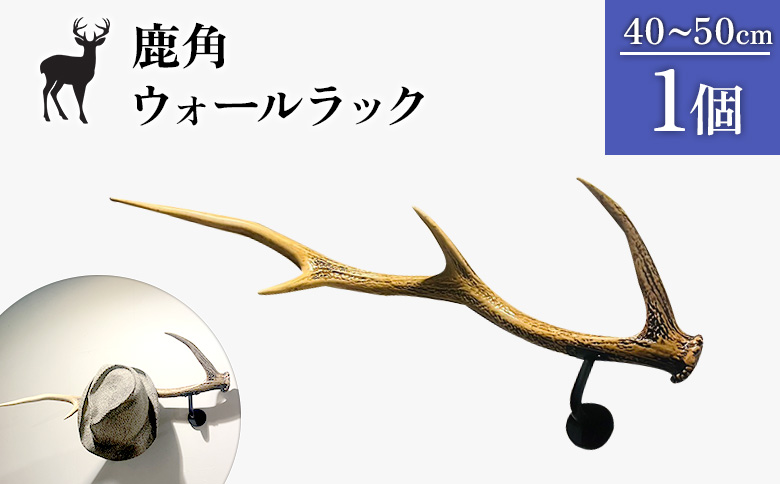 鹿角のウォールラック 1個 40cm～50cm | オンライン申請 ふるさと納税 北海道 中標津 天然 蝦夷 鹿 角 ウォールラック エゾシカ 壁掛け フック ハンガー オブジェ 雑貨 インテリア シンプル ハンドメイド 一点物 贈り物 ギフト お取り寄せ ワンストップ マイページ Accent 中標津町【60006】