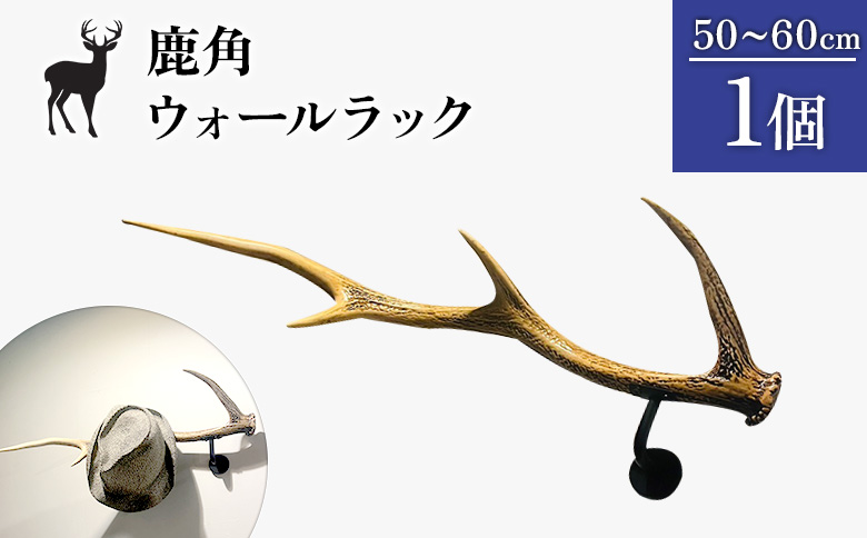 鹿角のウォールラック 1個 50cm～60cm | オンライン申請 ふるさと納税 北海道 中標津 天然 蝦夷 鹿 角 ウォールラック エゾシカ 壁掛け フック ハンガー オブジェ 雑貨 インテリア シンプル ハンドメイド 一点物 贈り物 ギフト お取り寄せ ワンストップ マイページ Accent 中標津町【60007】