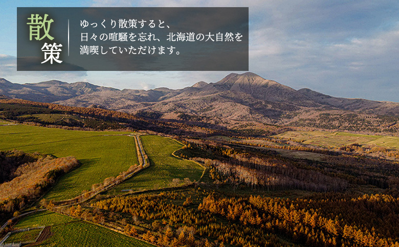 湯宿ã ãã㡠宿æ³è£å©åž 100,000åå ãªã³ã©ã€ã³ ç³è« ãµãããšçŽçš åæµ·é äžæšæŽ¥ å®¿æ³ æ
è¡ èŠ³å
ãã±ãã ã¯ãŒã㳠宿æ³åž è£å©åž éåž æ
è¡åž æž©æ³ é€èçæž©æ³ åæ¹¯ é²å€©é¢šå æ
通 èèæ
通 ããã«ãã·ããã¯ããŠããšãŸã¯ããã³ 100000åå äžæšæŽ¥çºã63006ã