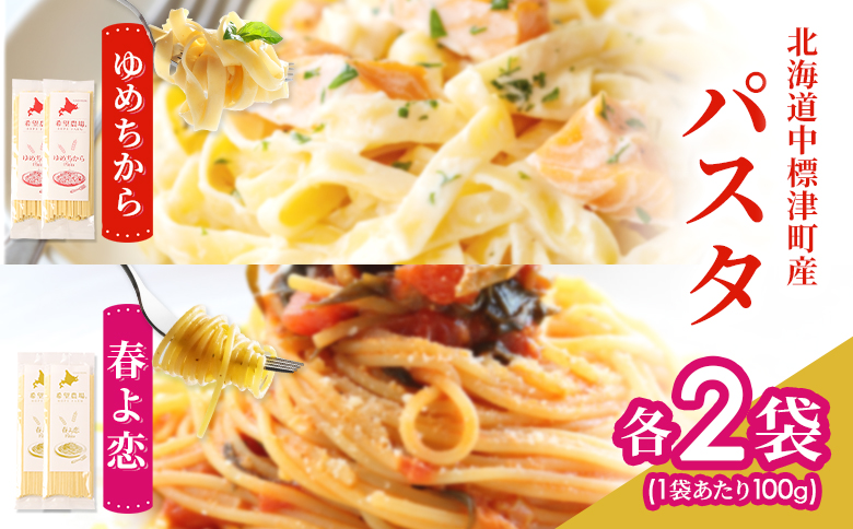 北海道中標津町産「春よ恋」パスタ・「ゆめちから」パスタ 各2袋（合計4袋） | 春よ恋 ゆめちから 食べ比べ 北海道小麦のもちもちパスタ 国産小麦 本格パスタ 春よ恋パスタ ゆめちからパスタ 小麦の香り 小麦の旨み 小麦の甘み モチモチ感 堪能 北海道グルメ ご当地パスタ 北海道産 小麦 パスタ 常温保存 ランチ 麺類 希望農場 お取り寄せ 北海道 中標津町 中標津【82005】