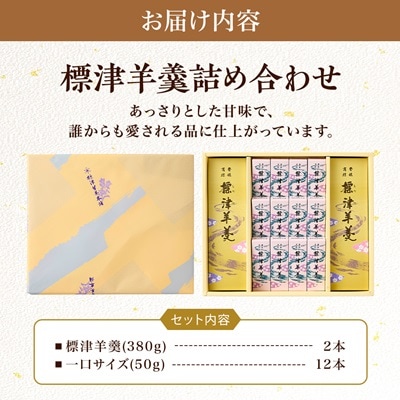 羊羹好き必見! 標津羊羹詰め合わせ　小型 ギフトセット 一口サイズ スイーツ【1086065】