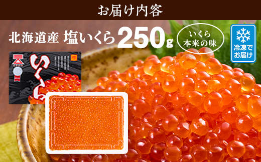 北海道産 塩いくら ( 250g ) しおいくら いくら イクラ ikura 鮭卵 国産 天然 小分け 人気 厳選 おすすめ さけ サケ 鮭 魚卵 たまご 冷凍 冷凍イクラ 冷凍いくら 冷凍のイクラ 冷凍のいくら 魚介類 魚貝類 海鮮 海産物 海鮮 イクラ丼 いくら丼 いくらどん イクラ丼 ご褒美 ごほうび お祝い おいわい プレゼント 北海道 標津町        