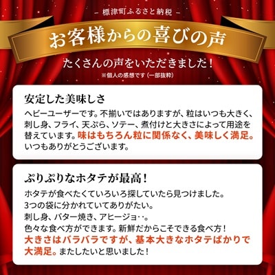 【訳あり】北海道産 帆立貝柱[特A]刺身用 500g×3袋  北海道 人気 おすすめ ホタテ 天然【配送不可地域：離島】【1136821】