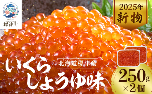 【令和7年新物】いくら・しょうゆ味・標津産 250g×2個 イクラ 北海道 さけ 魚卵 天然 海産物【配送不可地域：離島】【1176414】
