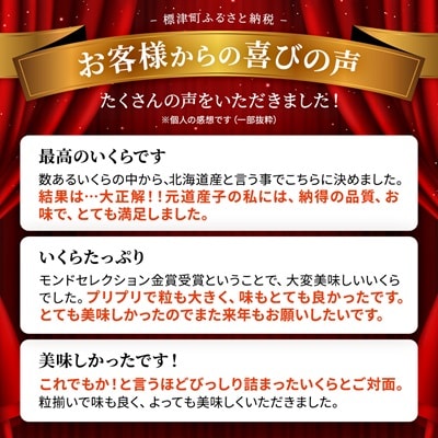【令和7年新物】北海道産鮭いくら醤油漬(500g) イクラ 北海道 人気 おすすめ さけ 魚卵 天然【配送不可地域：離島】【1148811】