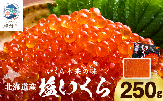 【令和7年新物】北海道産塩いくら　250g×1パック【配送不可地域：離島】【1709818】