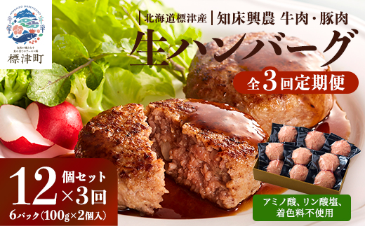 【毎月定期便】生ハンバーグ12個セット　冷凍 国産 牛肉 豚肉 ギフト 小分け 人気 全3回【配送不可地域：離島】【4006285】