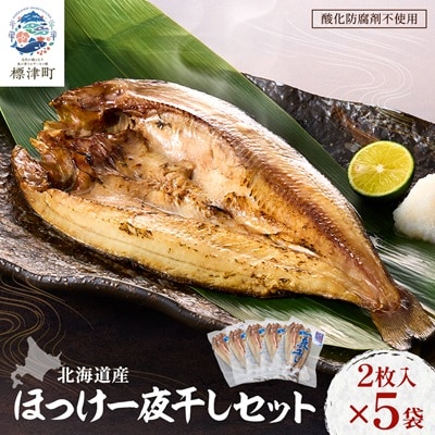 北海道産 天然ほっけ一夜干しセット 2枚入×5袋　干物 ホッケ 北海道産 冷凍【配送不可地域：離島】【1133087】