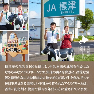 縲先ッ取怦螳壽悄萓ソ縲代@縺ケ縺、迚帑ケウ繧「繧、繧ケ12蛟九繧「繧、繧ケ繧ッ繝ェ繝シ繝 辟。豺サ蜉 隧ー繧∝粋繧上○蜈ィ6蝗槭宣埼∽ク榊庄蝨ー蝓滂シ夐屬蟲カ縲代4067120縲