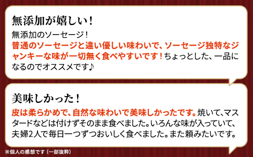 【無添加・無着色】こだわりソーセージ6種セット(計920g)  詰め合わせ ギフト 人気 おすすめ【配送不可地域：離島】【1088220】