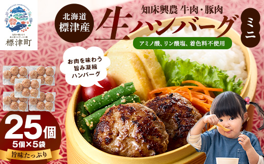 生ハンバーグミニ 25個セット(5個×5パック)冷凍でお届け 国産 牛肉 豚肉 ギフトにもおすすめ【配送不可地域：離島】【1700039】
