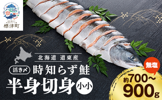 北海道道東産　活き〆時知らず鮭半身切身(小小)約700-900g 北海道 人気 おすすめ さけ 天然【配送不可地域：離島】【1148427】