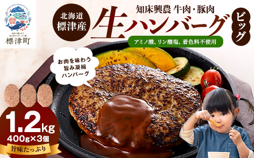 生ハンバーグ 400g×3個セット 冷凍でお届け 国産 牛肉 豚肉 ギフトにもおすすめ【配送不可地域：離島】【1700040】