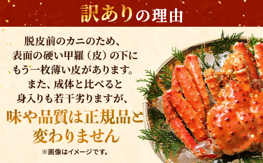 訳あり ボイル 冷凍 本タラバガニ 約1.0~1.1kg× 1杯 国産 北海道道東産 蟹 かに カニ タラバ 冷凍タラバ 冷凍かに 冷凍カニ 訳ありカニ 訳アリ カニしゃぶ 蟹鍋 ごほうび 贅沢 タラバ蟹 蟹脚 蟹あし カニ脚 タラバカニ タラバかに タラバがに ボイルタラバガニ 北海道産 魚貝類 魚介類 海鮮 魚介 魚貝 ゴールデンウィーク 母の日 父の日 お祝い プレゼント 北海道 標津町