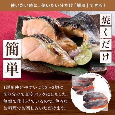 北海道道東産　活き〆時知らず鮭半身切身(小)約900g-1kg 北海道 人気 おすすめ さけ 天然【配送不可地域：離島】【1069437】