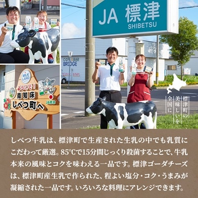 しべつ牛乳1L×4本・標津ゴーダチーズ250g×2袋のセット　北海道 乳製品 詰め合わせ おすすめ【配送不可地域：離島】【1004690】