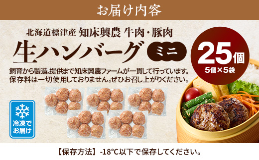 北海道産 生ハンバーグ ミニ 25個 セット ( 5個 × 5パック ) 冷凍 手作り ハンバーグ 国産 保存料不使用 牛肉 豚肉 ギフト お弁当 子供 子ども こども 安全 アミノ酸不使用 リン酸塩不使用 着色料不使用 牛 豚 肉 肉加工品 加工品 国産肉 国産豚 国産牛 はんばーぐ hannba-gu 冷凍食品 ロコモコ ロコモコ丼 小さめ 便利 パック 北海道 標津町