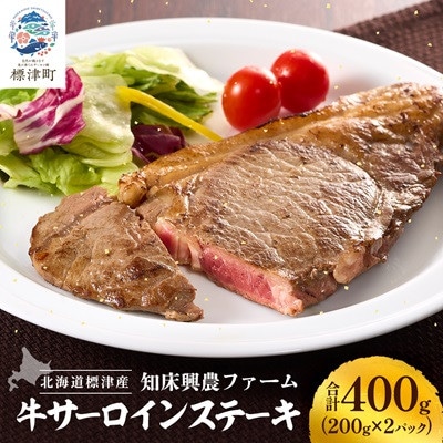 知床興農 牛サーロインステーキ　　200g×2パック　牛肉 赤身【配送不可地域：離島】【1513736】