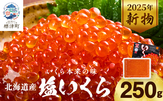 【令和7年新物】北海道産塩いくら　250g×1パック【配送不可地域：離島】【1709818】