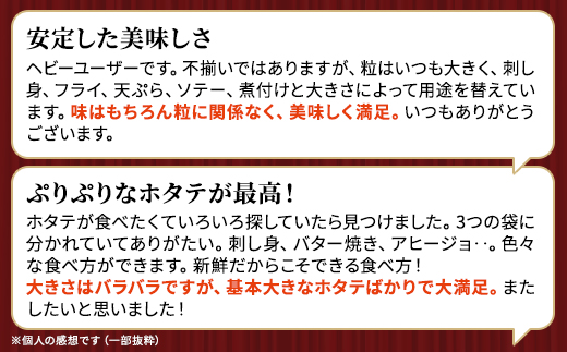 [訳あり]北海道産 帆立貝柱[特A]刺身用 500g×2袋 北海道 人気 おすすめ ホタテ 天然【配送不可地域：離島】【1384609】