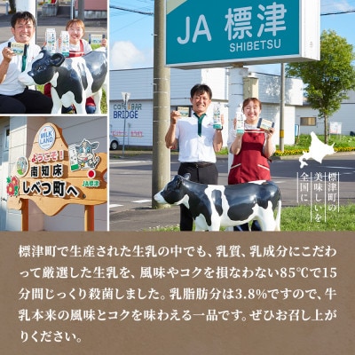 【毎月定期便】【6ヶ月定期便】しべつ牛乳1L×4本　北海道 パックミルク 美味しい全6回【配送不可地域：離島】【4067098】